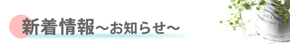 ミック幼児教室の新着情報