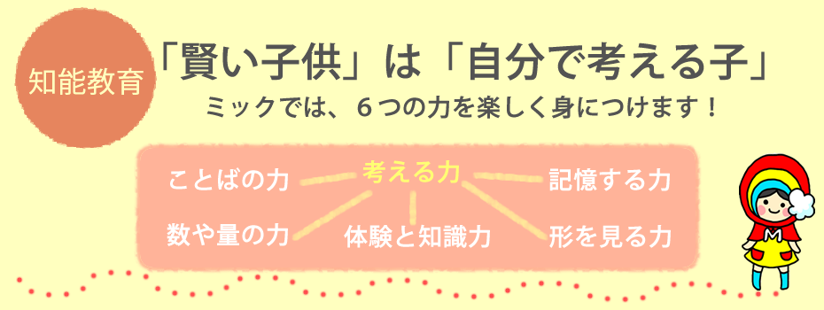 ミックの知能教育‐考える力を中心に言葉や数・図形などの６つの力を楽しく身につけるプログラム。